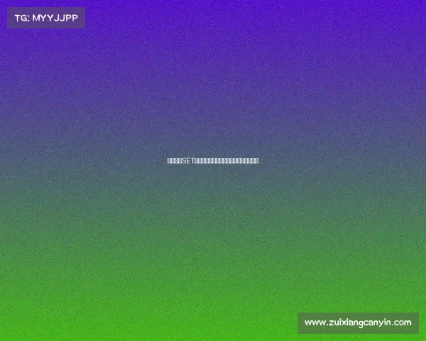 热梗来袭SET战队：下一站，荣耀之巅还是沉默离场？